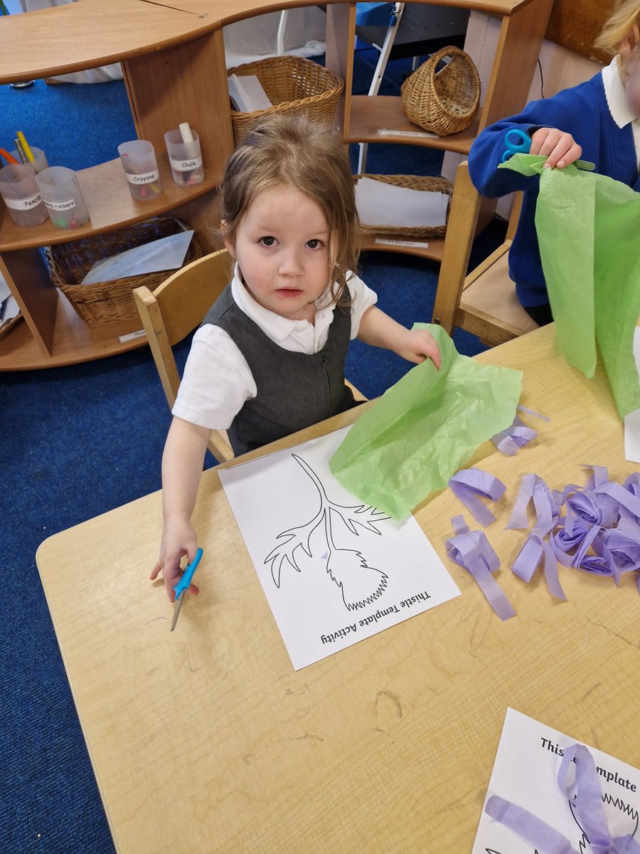 Larkspur Primary tweet media