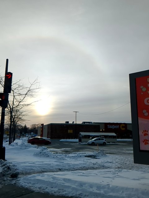 PickleSkull tweet media