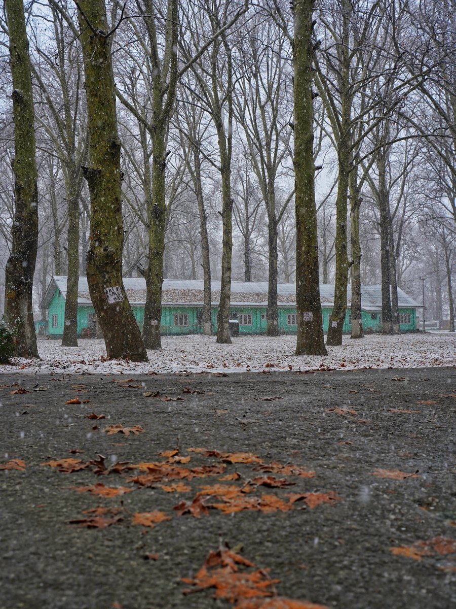 Winter in Kashmir 

Drop snow pictures ❄️