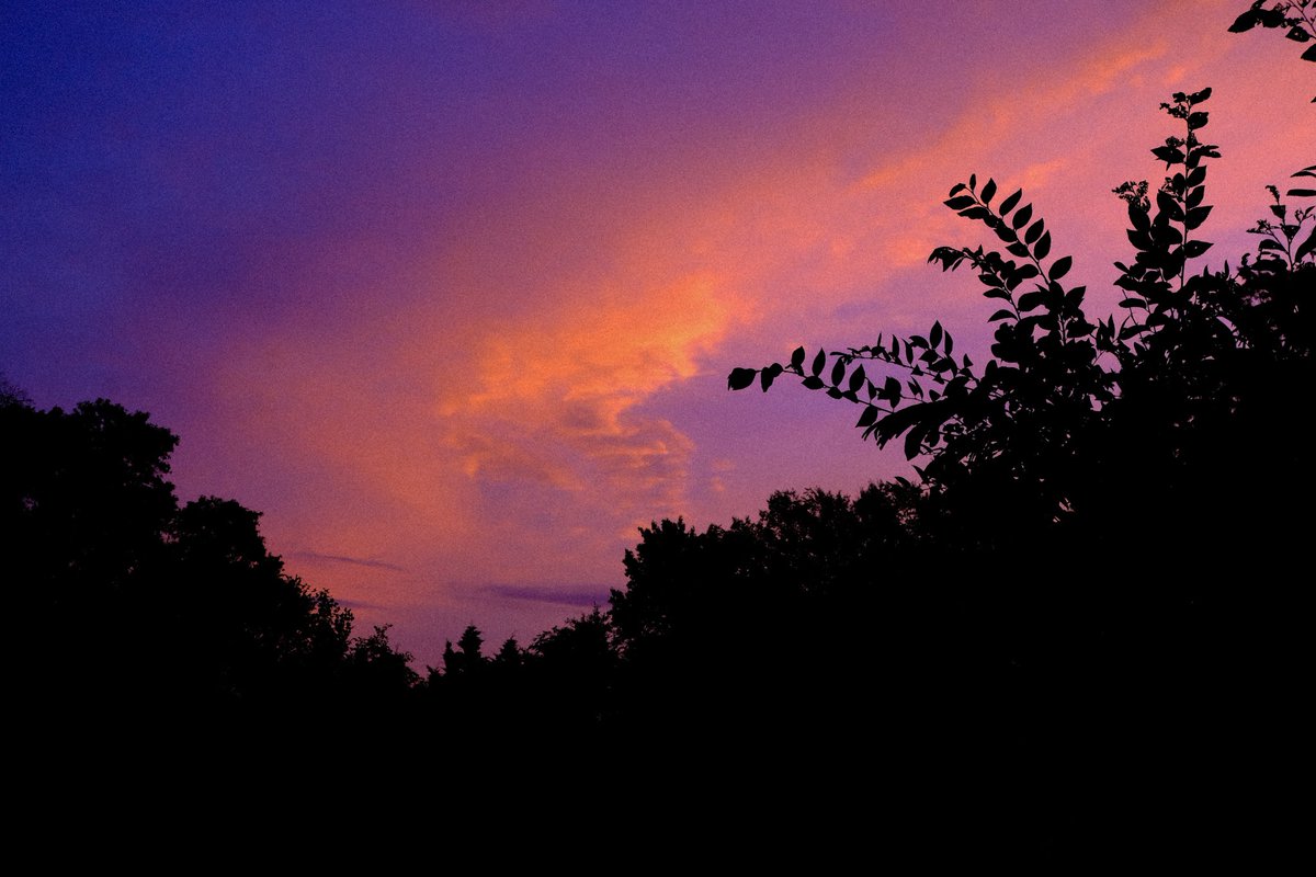 SamFunk_Photo tweet picture