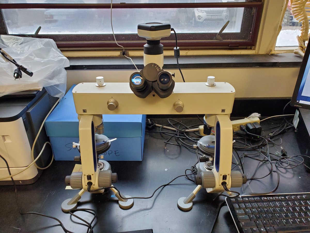 DebClapp1's tweet photo. Hey @HWEdfund breaking out the super cool equipment this semester!
Students are EXCITED!
Let's GO! #comparisonmicroscope #CSI https://t.co/avKKopL855