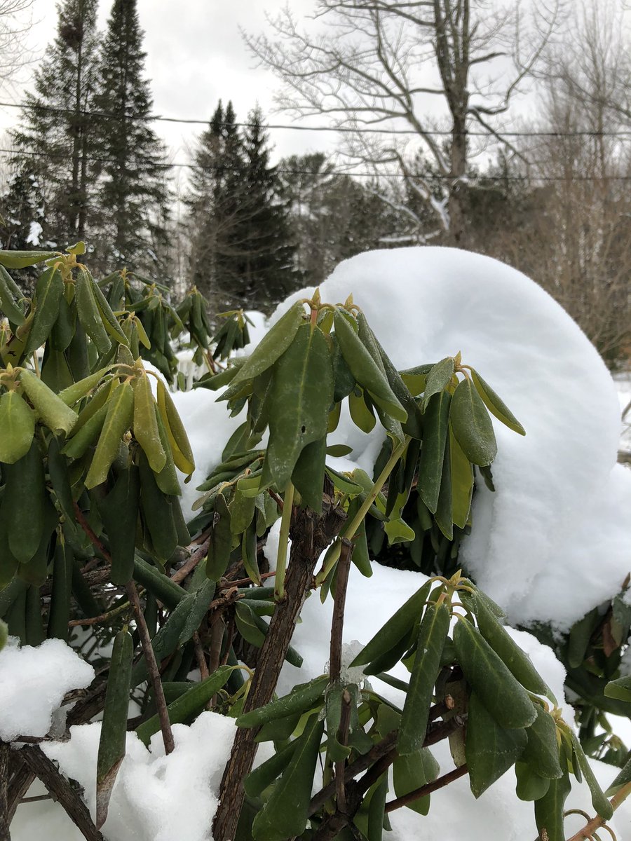 Andrew Mountcastle 🦞 tweet media