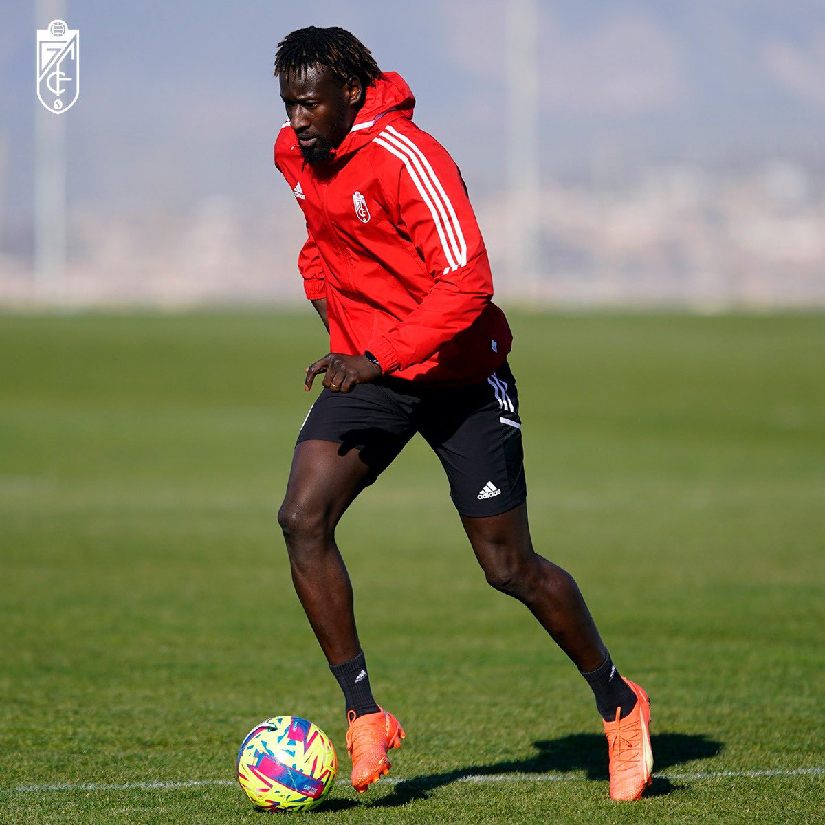 Famara Diedhiou⭐️⭐️🇸🇳 tweet media