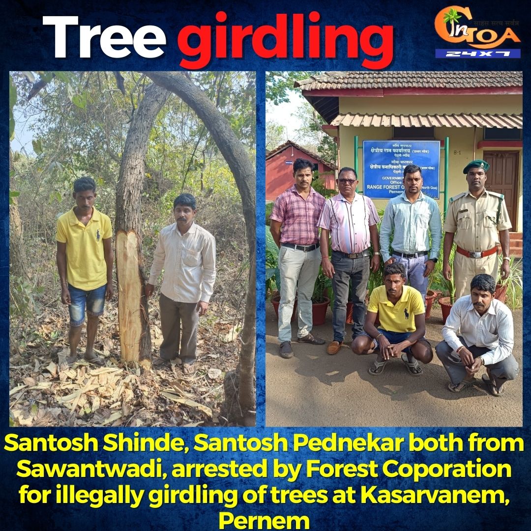 InGoa24x7's tweet photo. Santosh Shinde, Santosh Pednekar both from Sawantwadi, arrested by Forest Corporation for illegally girdling of trees at Kasarvanem, Pernem

#Goa #GoaNEws #ForestDepartment #Trees #Girdling #Pernem https://t.co/sSyj7e0UQJ