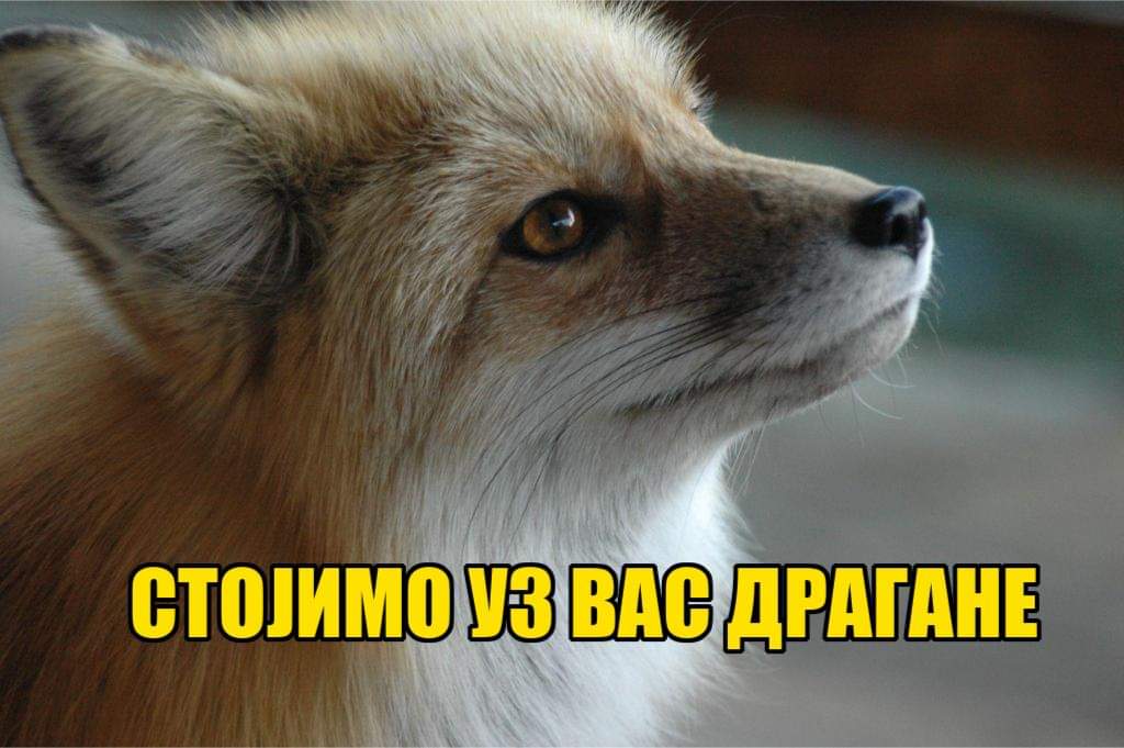 LouBanitza's tweet photo. https://t.co/J45AgY1P18