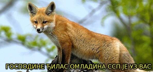 LouBanitza's tweet photo. https://t.co/J45AgY1P18