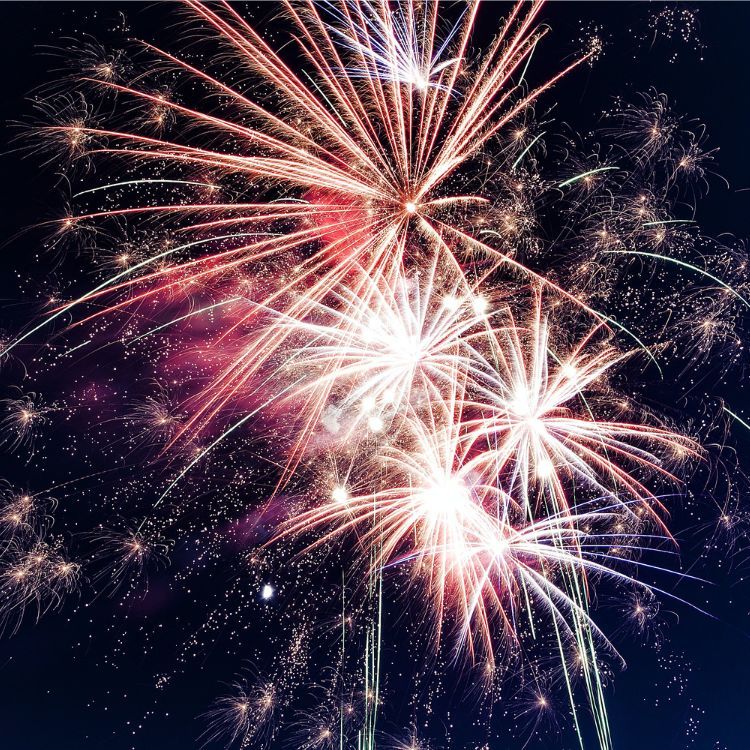 Dig Inclusion tweet media