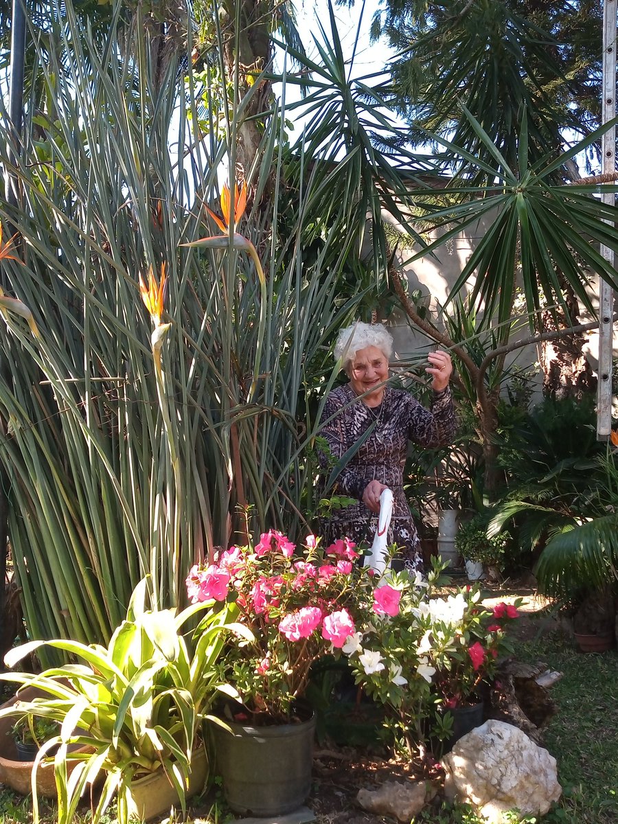 🌱 En el newsletter de hoy: Herbaria

👉 Cultivar el propio jardín, hacer crecer el alma.

♥️ Conocé la historia de Ángela: 
bit.ly/palabrasmayore…