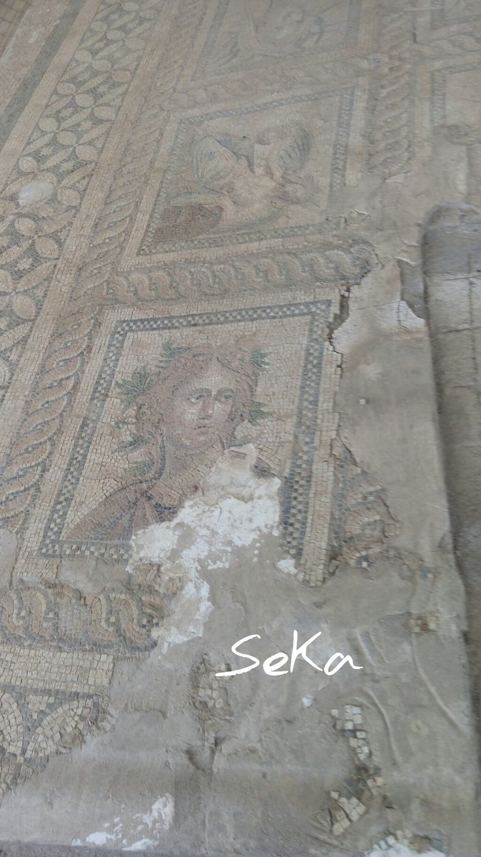Adveseda's tweet photo. Bilmiyordu ki krallar için dünya çok basittir, onların gözünde herkes uyruktur.
Antoine de Saint-Exupery
Foto:SeKa https://t.co/jkZcRakQCc