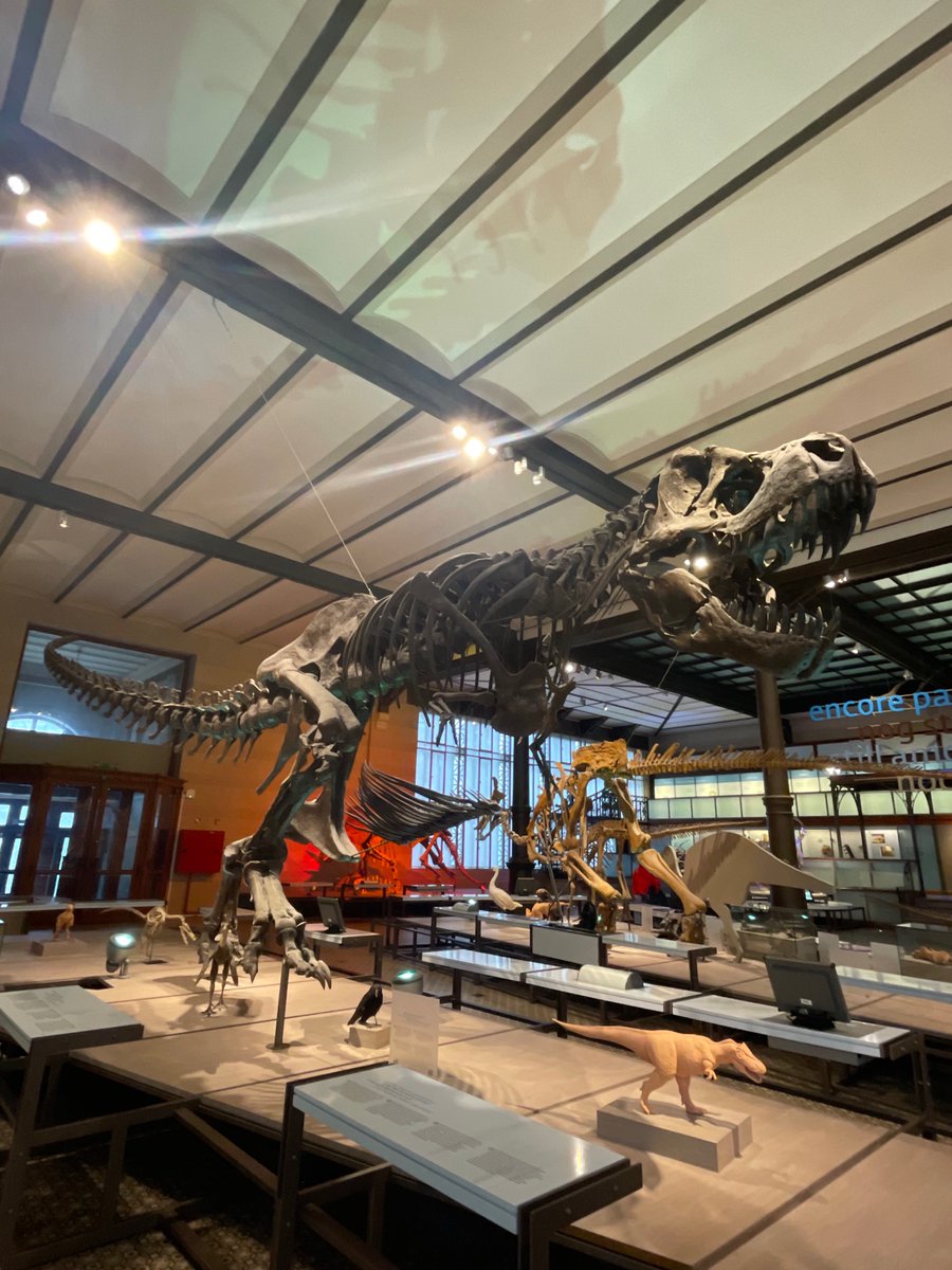 When the project kicks off with a dinosaurus at the entry you know it will be a good one! @BLUE4ALLproject @RBINSmuseum 
@Ivannah_S 
@VLIZnews 
@ICES_ASC 
@IUCN