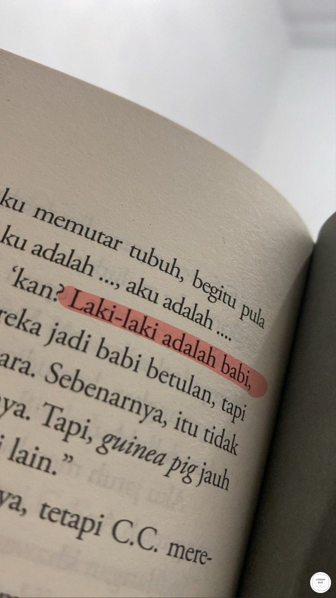 a tweet media