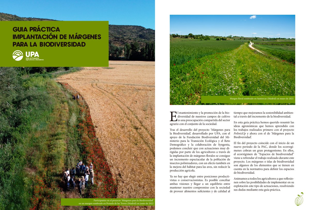 UPA_Federal's tweet photo. 📖 Recogemos en esta guía cómo sembrar márgenes florales 🌼 para aumentar la población de insectos polinizadores sin perder productividad. 
La nueva #PAC facilita ayudas a los #agricultores que quieran implementar esta práctica 
#UPAteAyuda a hacerlo 👇🏼
https://t.co/9aQ69oywDK https://t.co/WUjD9xog9W