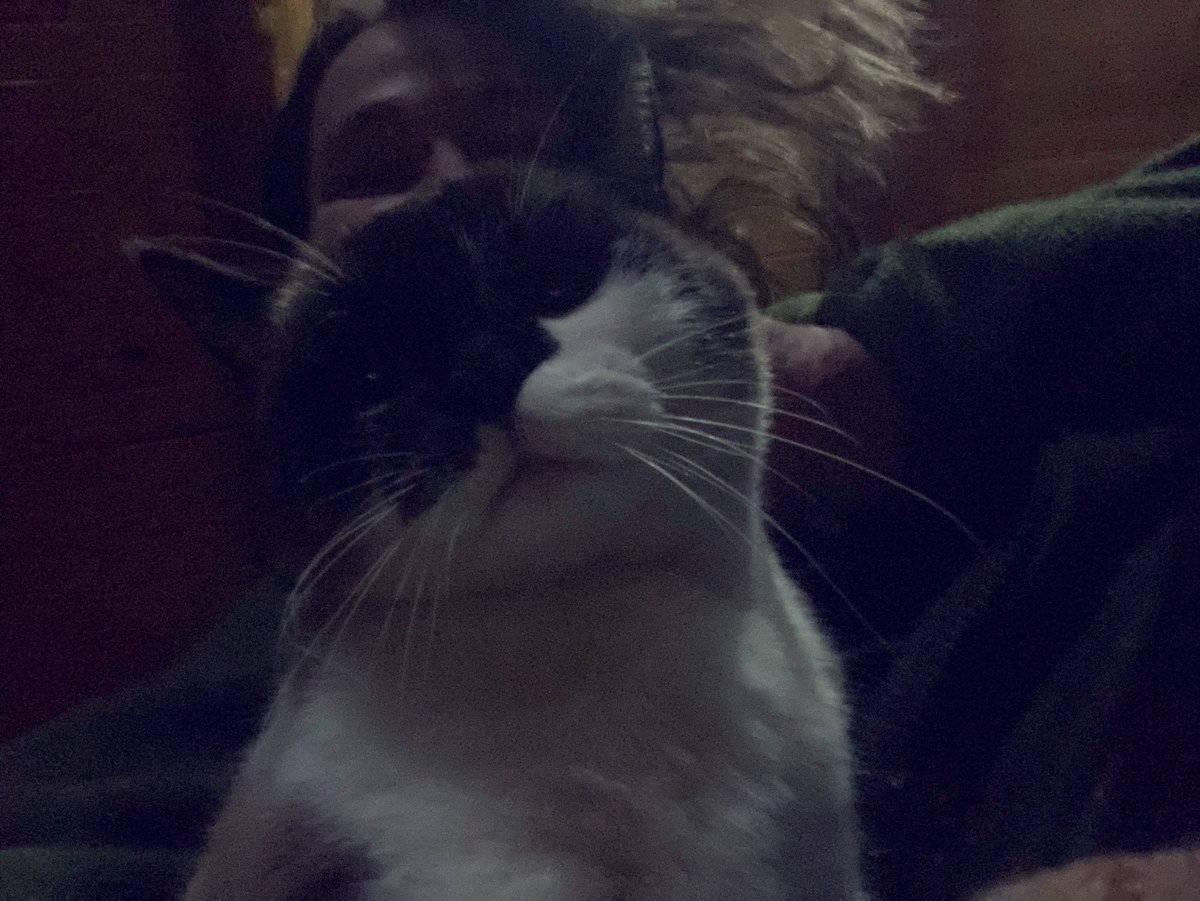 Margo Gontar 🔱 tweet media