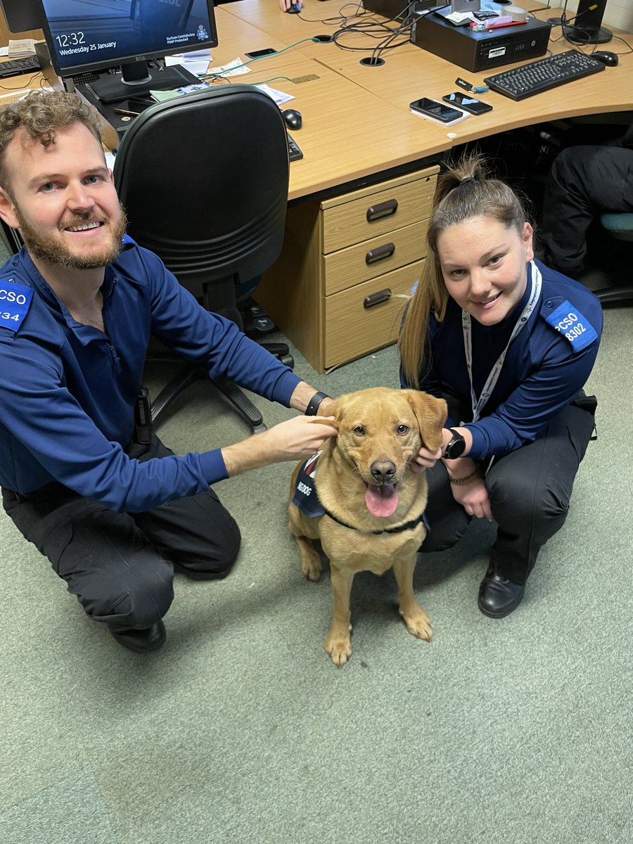 Durham Constabulary OK9 Wellbeing and Trauma Dogs tweet media