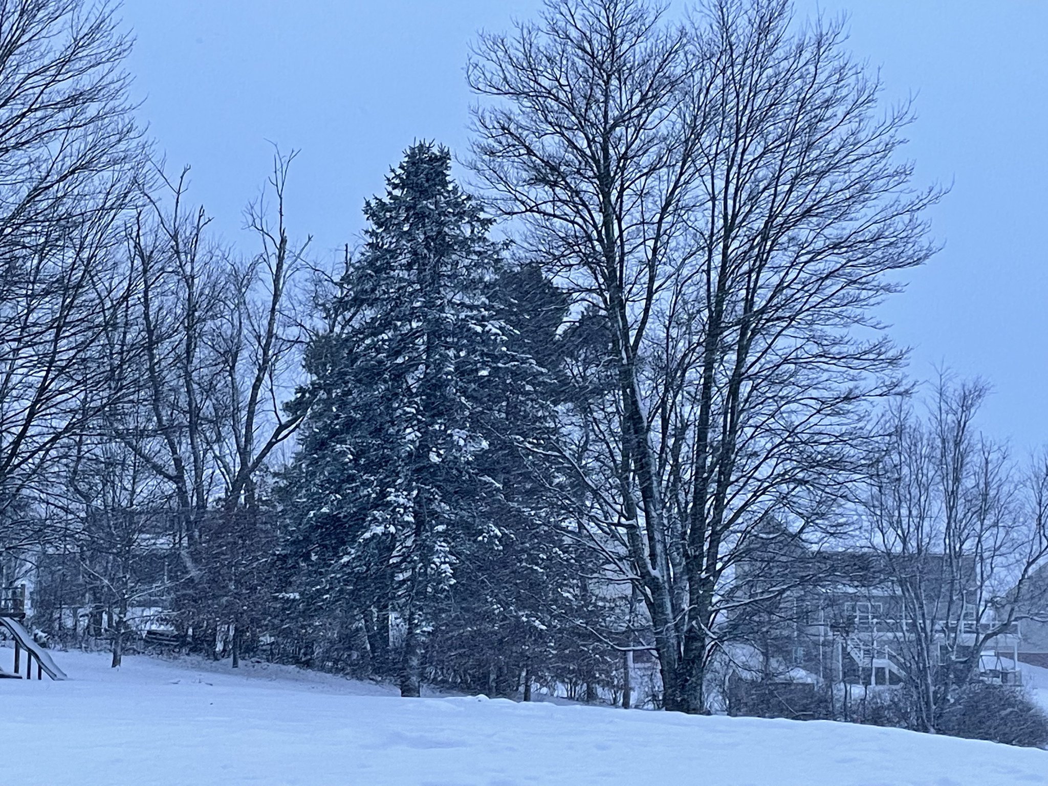 Connected Nation on Twitter "Today is a SNOW DAY here in Western PA