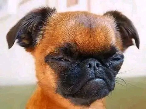 Mmeli think he's the one who called Big brother

<a href="/BigBroAfrica/">Big Brother Titans</a>
#BBTitians