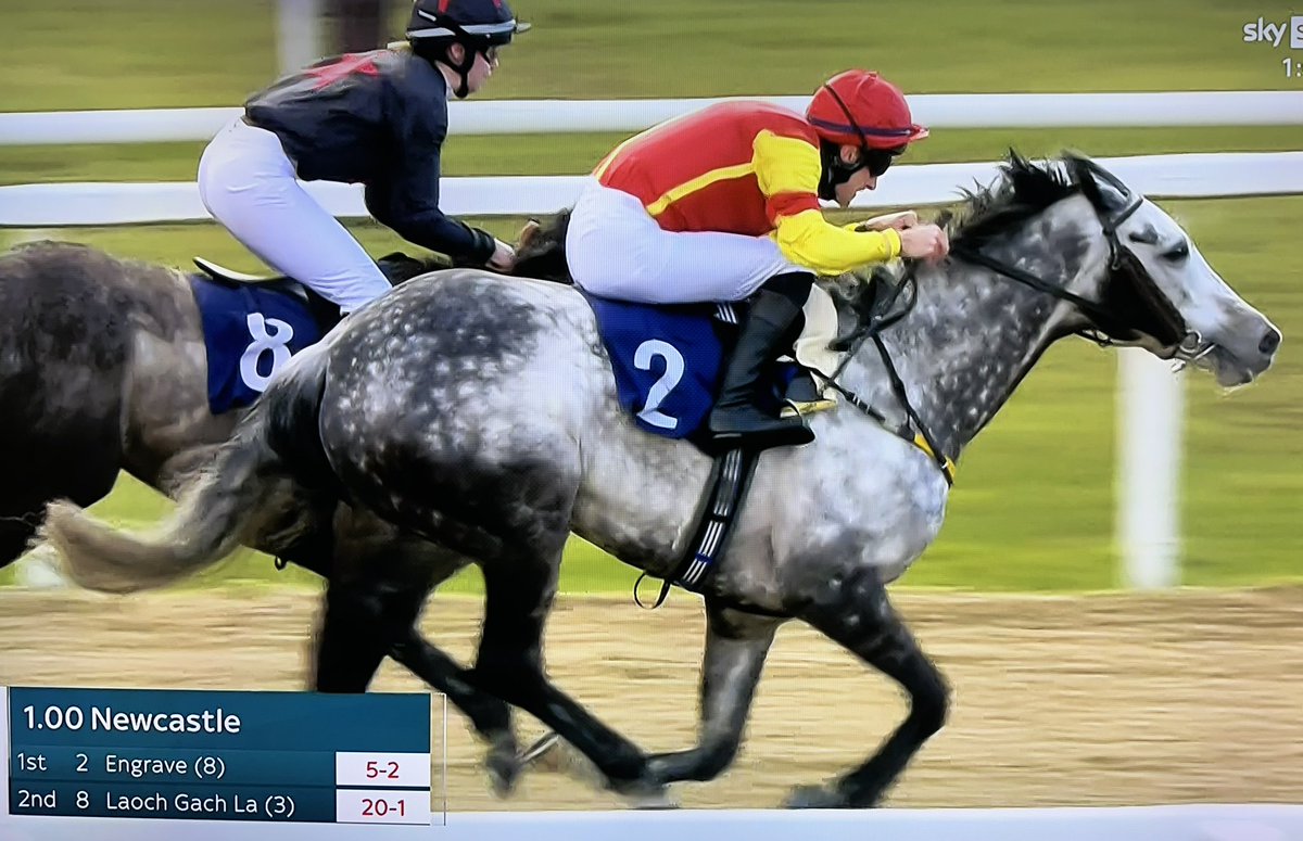 amajox's tweet photo. Congrats #champ @amajox @RossBirkett WINS @NewcastleRaces #Engrave 🥇🏆@JuliaFeilden #timedtoperfection denies @NicolaThornton 🥈#neck (great ride Nicola!) @dannimooney1990 🥉#7ran #shortjourneyhome Well done Ross! 👌🌟👏👏👏 https://t.co/rqqciGweUZ