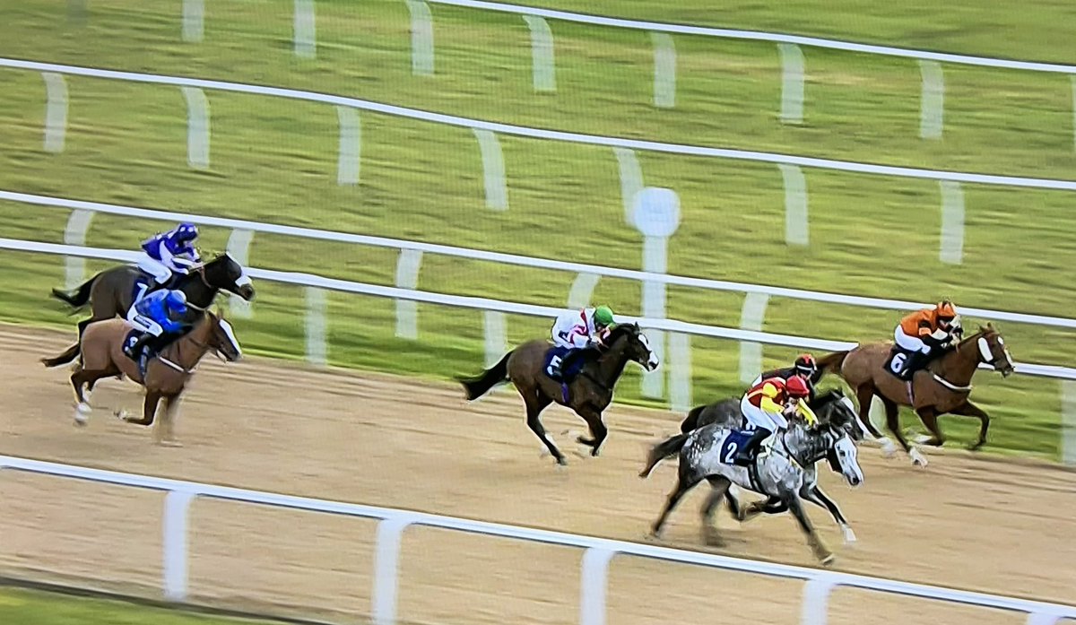 amajox's tweet photo. Congrats #champ @amajox @RossBirkett WINS @NewcastleRaces #Engrave 🥇🏆@JuliaFeilden #timedtoperfection denies @NicolaThornton 🥈#neck (great ride Nicola!) @dannimooney1990 🥉#7ran #shortjourneyhome Well done Ross! 👌🌟👏👏👏 https://t.co/rqqciGweUZ