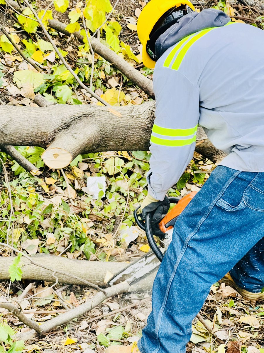 DetroitGSD tweet media