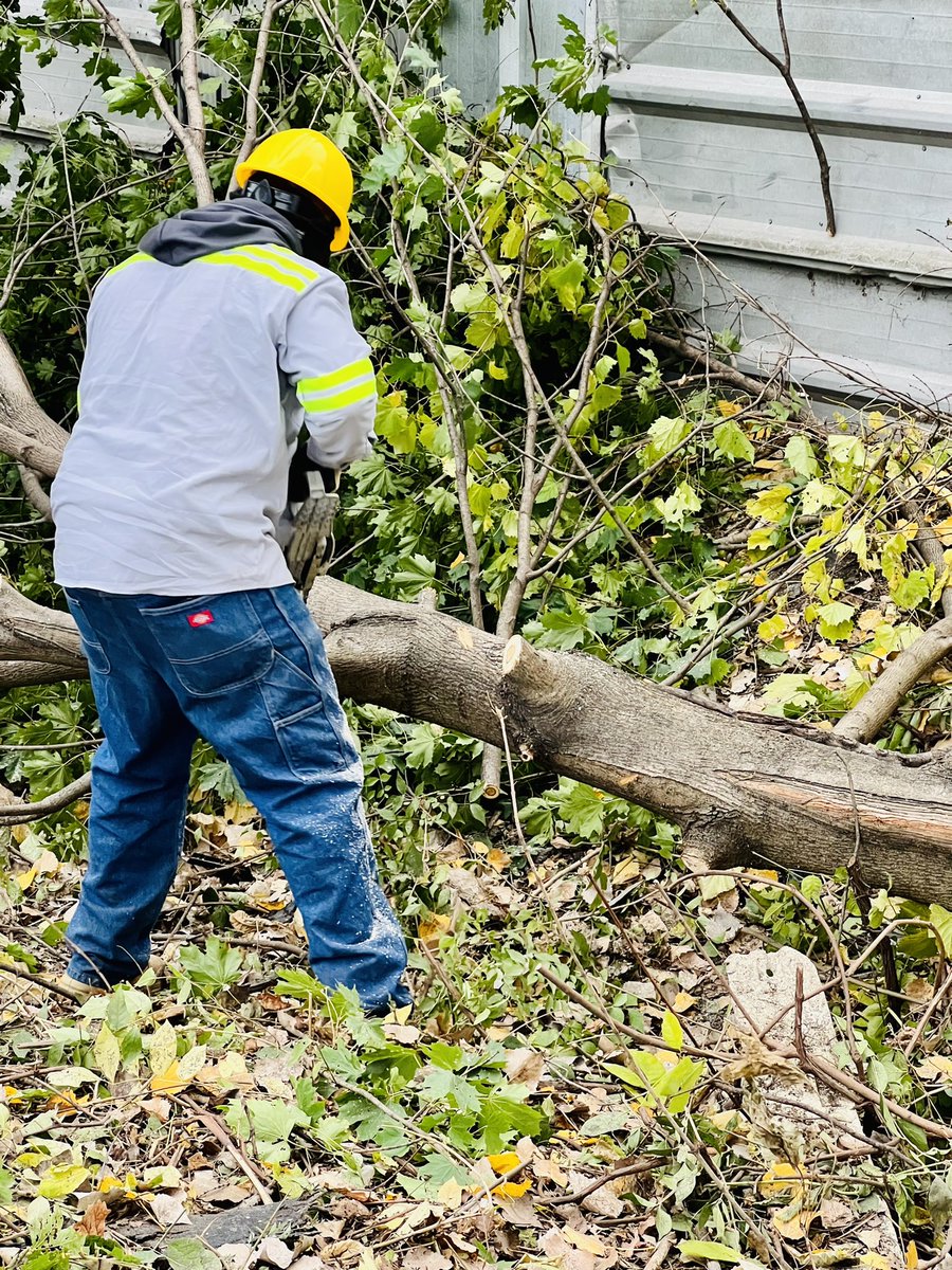 DetroitGSD tweet media