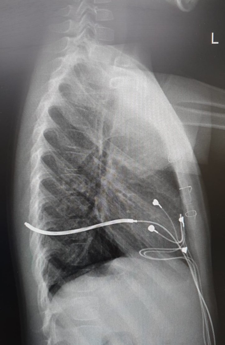 Eric Lim tweet media