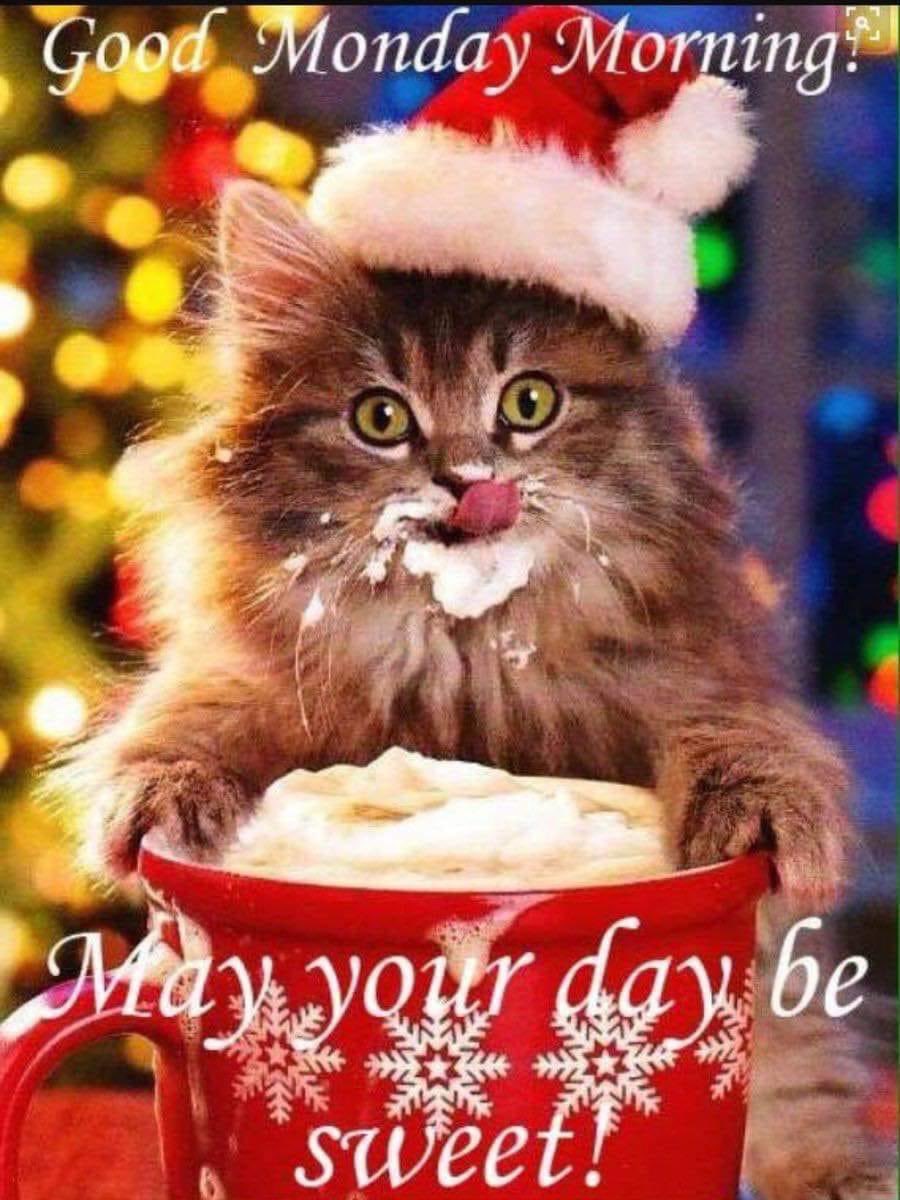 Steven23612690's tweet photo. Good morning friends and family's! https://t.co/BeNQs8IBsN