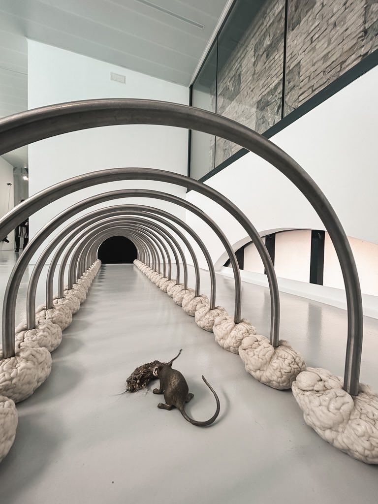 Lidó Rico expone ‘Amotinados’ en el Centro de Cultura Contemporánea Cárcel Vieja.

Seis instalaciones de gran formato cautivarán al espectador durante su visita, que invita a experimentar un viaje sensorial en torno a una obra que se integra a la perfección con el espacio.