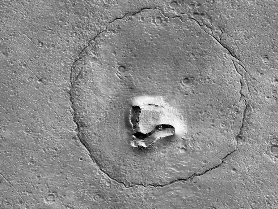 Scientists discover a formation on Mars resembling a bear : NPR