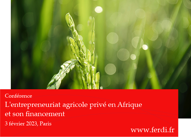3 fev 2023, de 14h à 17h. Partage de connaissances et d'expériences sur le #financement des #entrepreneurs #agricoles en #Afrique et les solutions pour accroître le financement de l’investissement privé dans le secteur agricole en Afrique.  👉ferdi.fr/evenements/l-e…