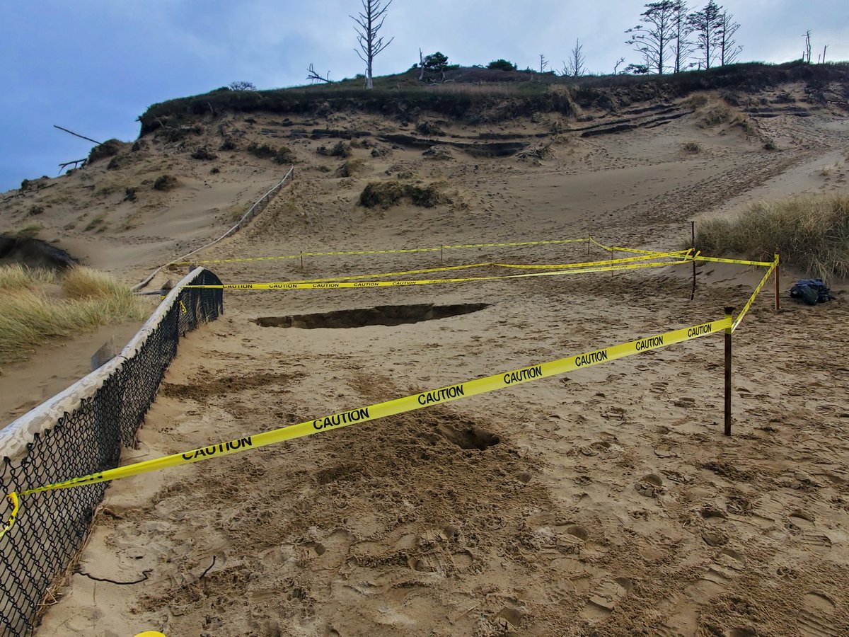 Marilyn Deutsch KPTV tweet media