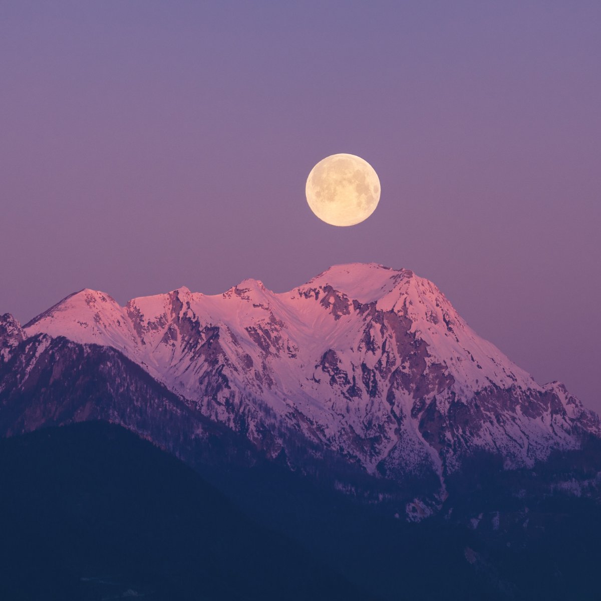 Today we announce a new job opening to work directly with our researchers, advisors and community to support a pipeline of innovative projects to go from hunches to sustained impact. Are you our incoming Innovation Program Coordinator? Apply here: recruit.openlunar.org