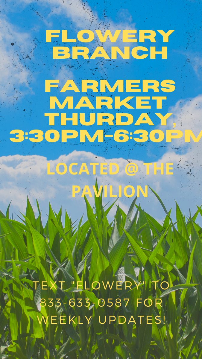 CityofFloweryBranch tweet media