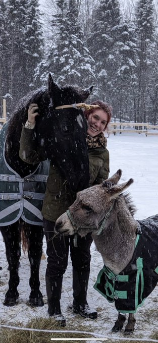 Started a SFW farm account! Will mostly post animal pics and farm updates ❤️ @laraonthefarm https://t