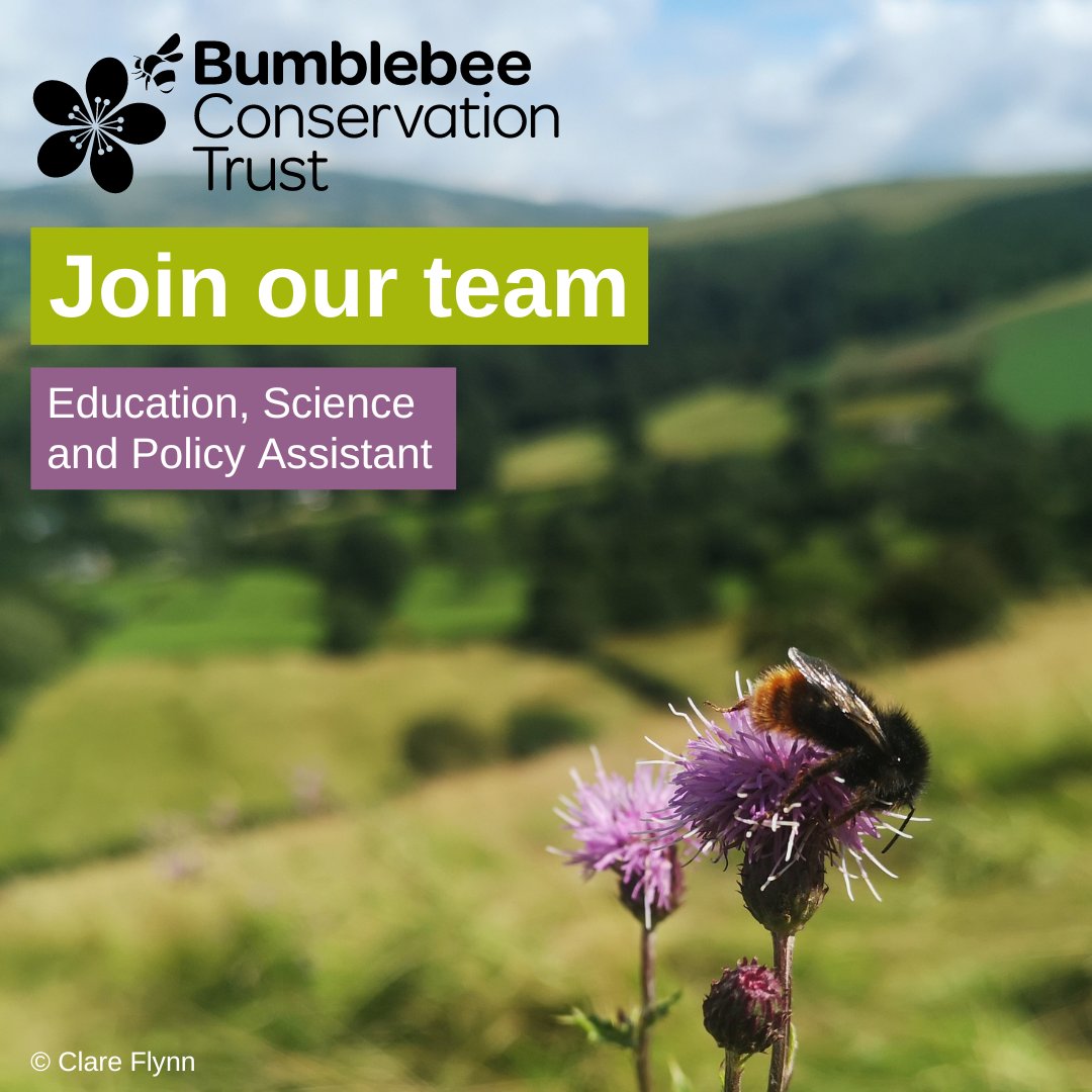 NEW VACANCY🐝 We are looking for an Education, Science and Policy Assistant to assist with the development and delivery of our education, science and policy work. See our vacancy page for the details👉🏿 ow.ly/SiAI50MyJNp 📅 5pm Friday 17 February 2023