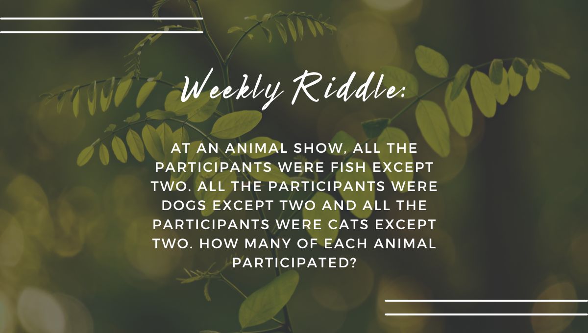 Visit the link below for the answer to last week's #riddle and #subscribe so you don't miss this week's answer! Post your guesses in the comments. #brainteaser #riddlemethis meldfinancial.com/financial-well…