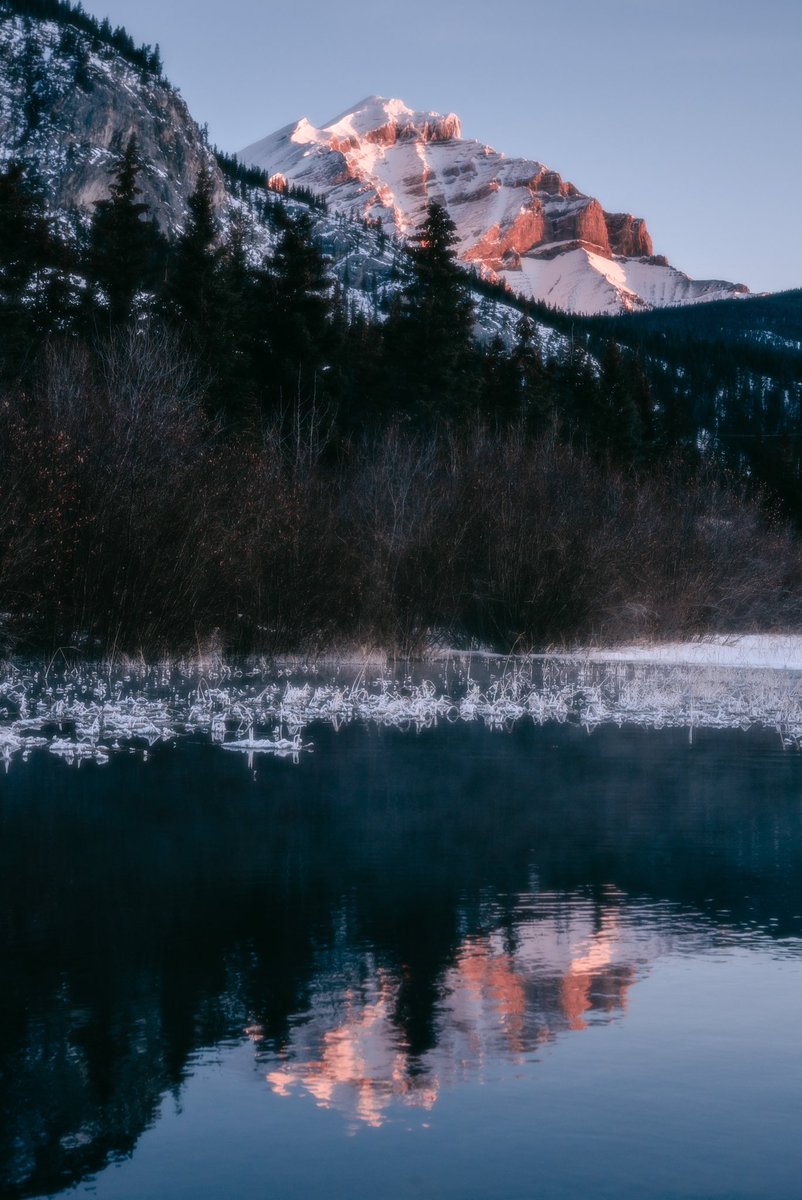 Saraboychuk_'s tweet photo. quiet mornings. https://t.co/euqd6hImdI