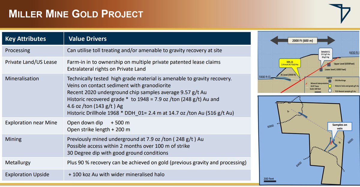 transatlantic_v's tweet photo. #MillerGoldMine #Ownership #Gold #GoldExploration #GoldMine #Copper #CopperExploration #Silver #Idaho #Montana #OTC #OTCQB #TSXV #Germany #Frankfurt #US #Stocks #Mining #Minerals #Commodity #Commodities #StockMarket #TransatlanticMiningCorp #TCO #TRRGF  $TMSA.FR $TCO.V $TRRGF https://t.co/nWMlexiZwc
