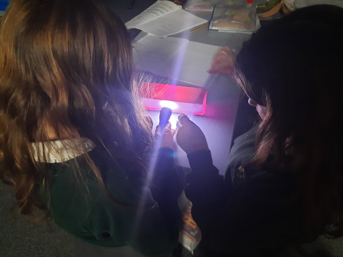 KPSFeed's tweet photo. #KPSYear6 are investigating light and shadow in their POW camp investigation. #KPSScience #KPSHistory #HighExpectations https://t.co/s9CVi7lvpM