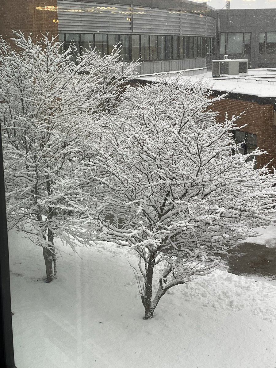 AntczakMath's tweet photo. Drive safely, Eagles, see you soon @SandburgHS https://t.co/LTsGdMOrnf
