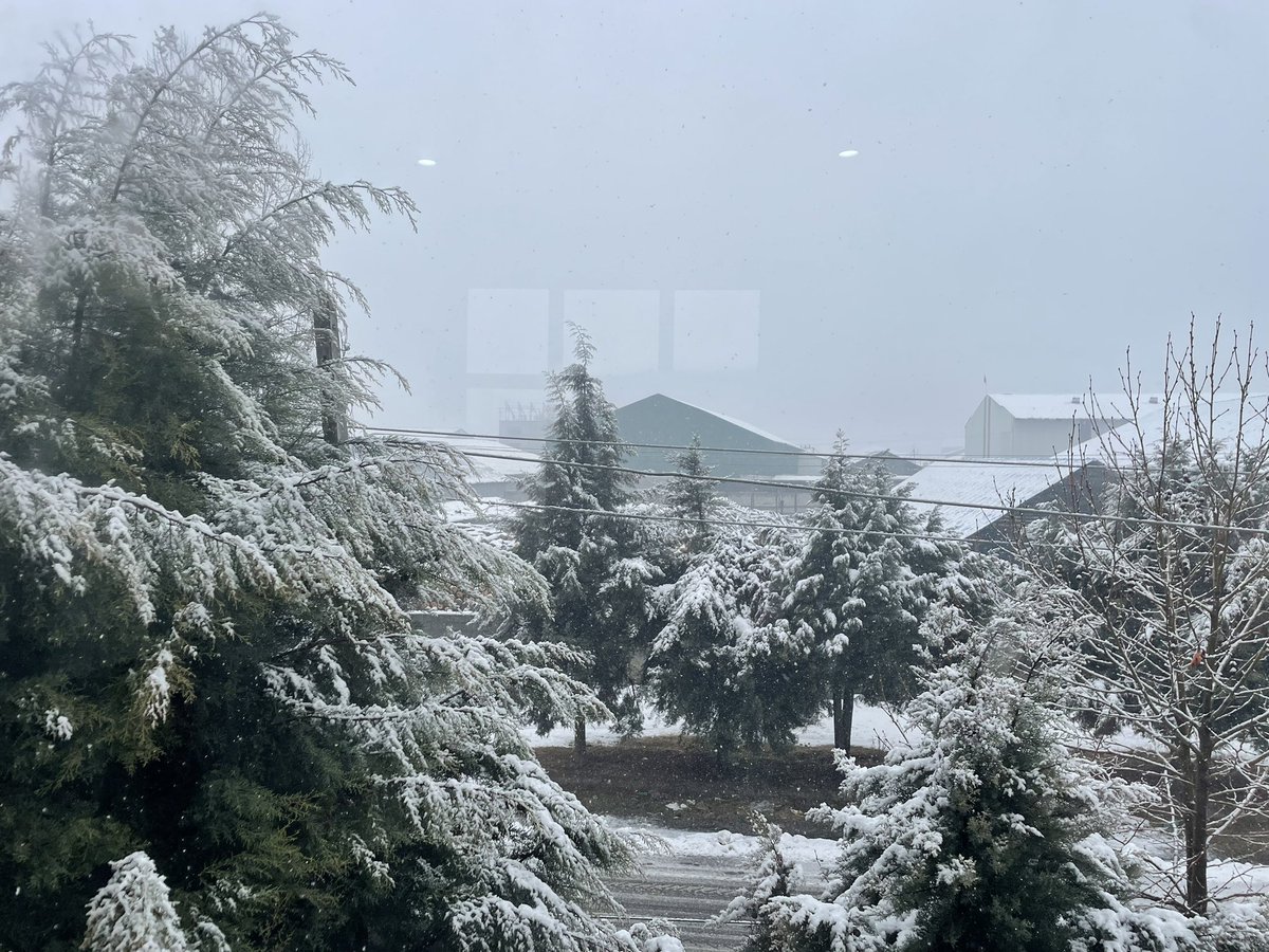 At workplace today. ❄️