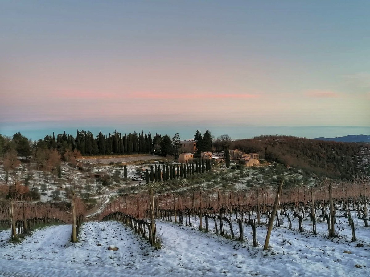 We've had some rare snowy days here in Toscana recently that made us want to get all cozy by the fire &amp; warm ourselves up even more with a bottle of vino or two ❄️🍷Mary &amp; Jacopo are traveling but our vineyard manager did capture a few serene, snow-covered scenes at Querceto 🤍