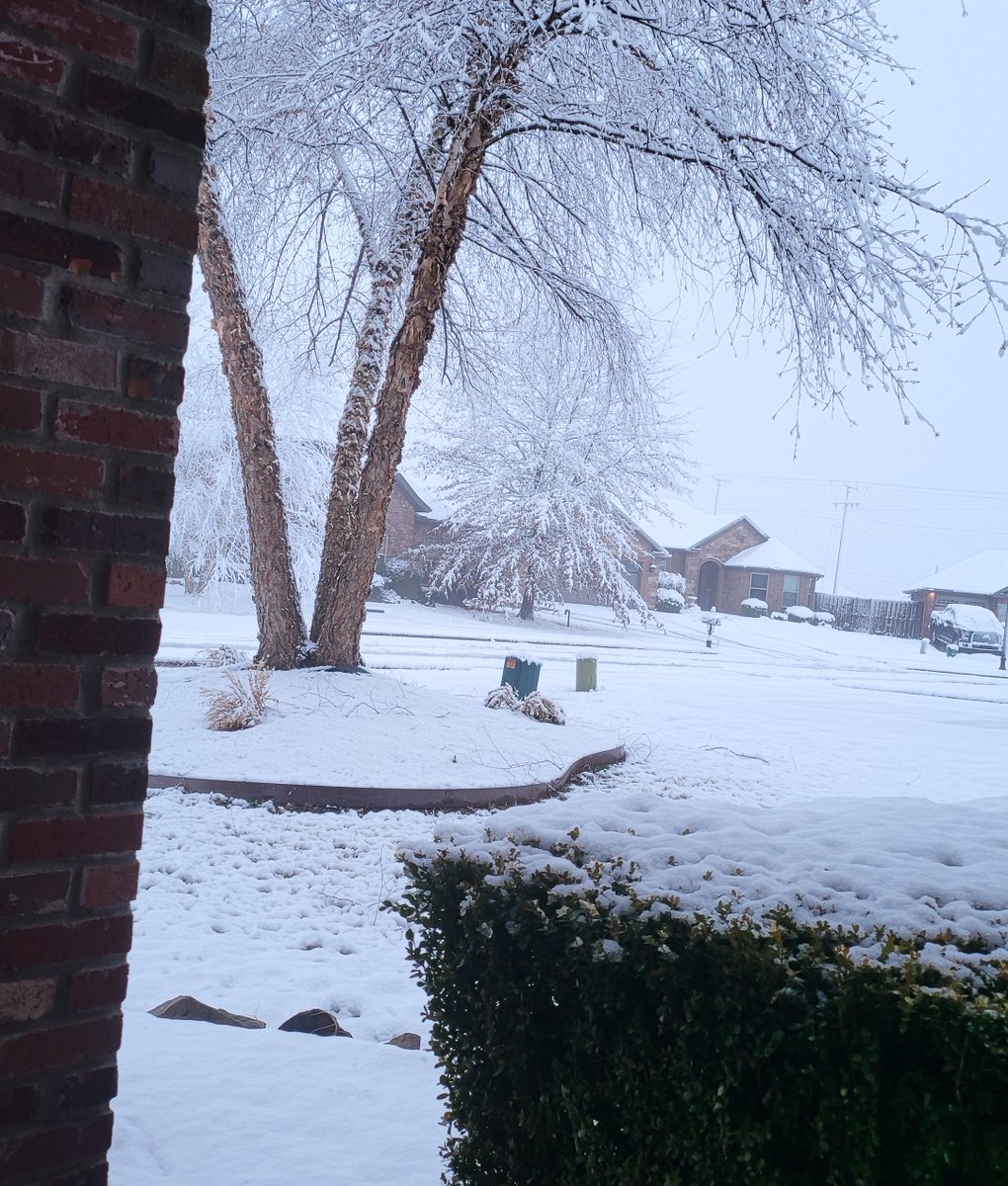 libramom1954's tweet photo. First snow 2023 ❄️🌨 https://t.co/z2ceQLFXgB