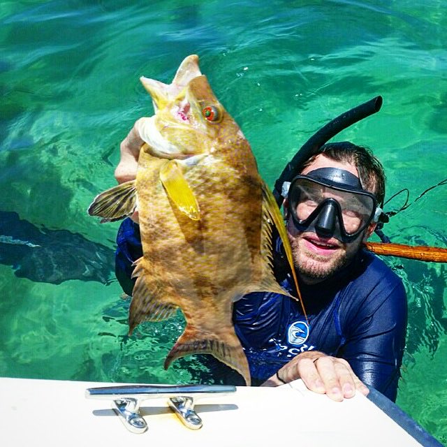 ChefJasonPer's tweet image. Strive to become self sufficient and share without expectations of reciprocity.