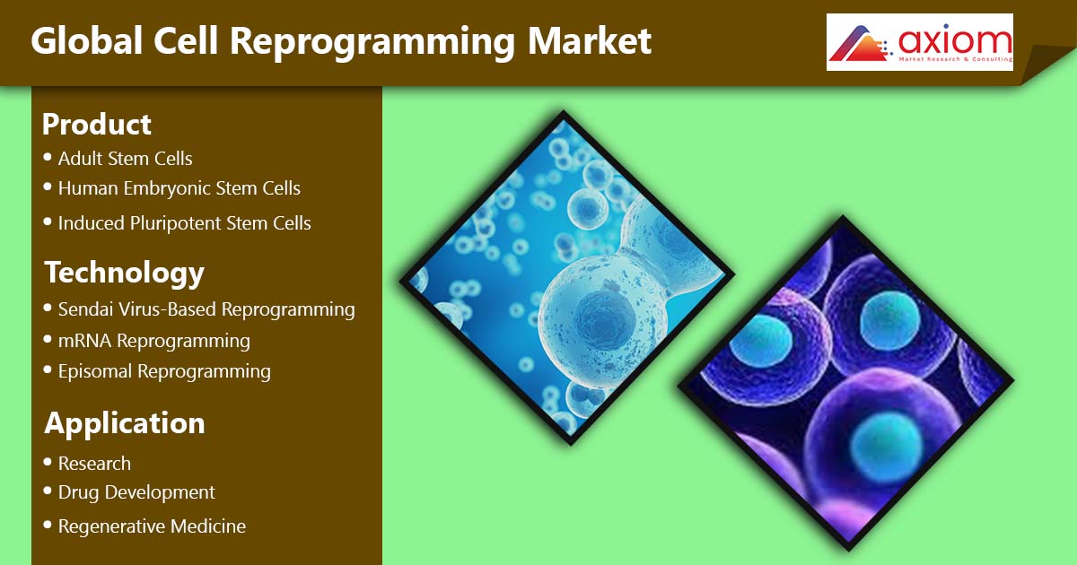 AxiommrcCom's tweet photo. Cell Reprogramming Market: In-depth Segment and Sub-segment Analysis with Top Key Players: 
https://t.co/oOMZFw44HN

#startups #innovations #news #medical #bioprocessing #health #cancer #diagnostic #academic #institutes #stemcell #biotechnology #hospitals #covid #manufacturing https://t.co/sFH1oYrFIB