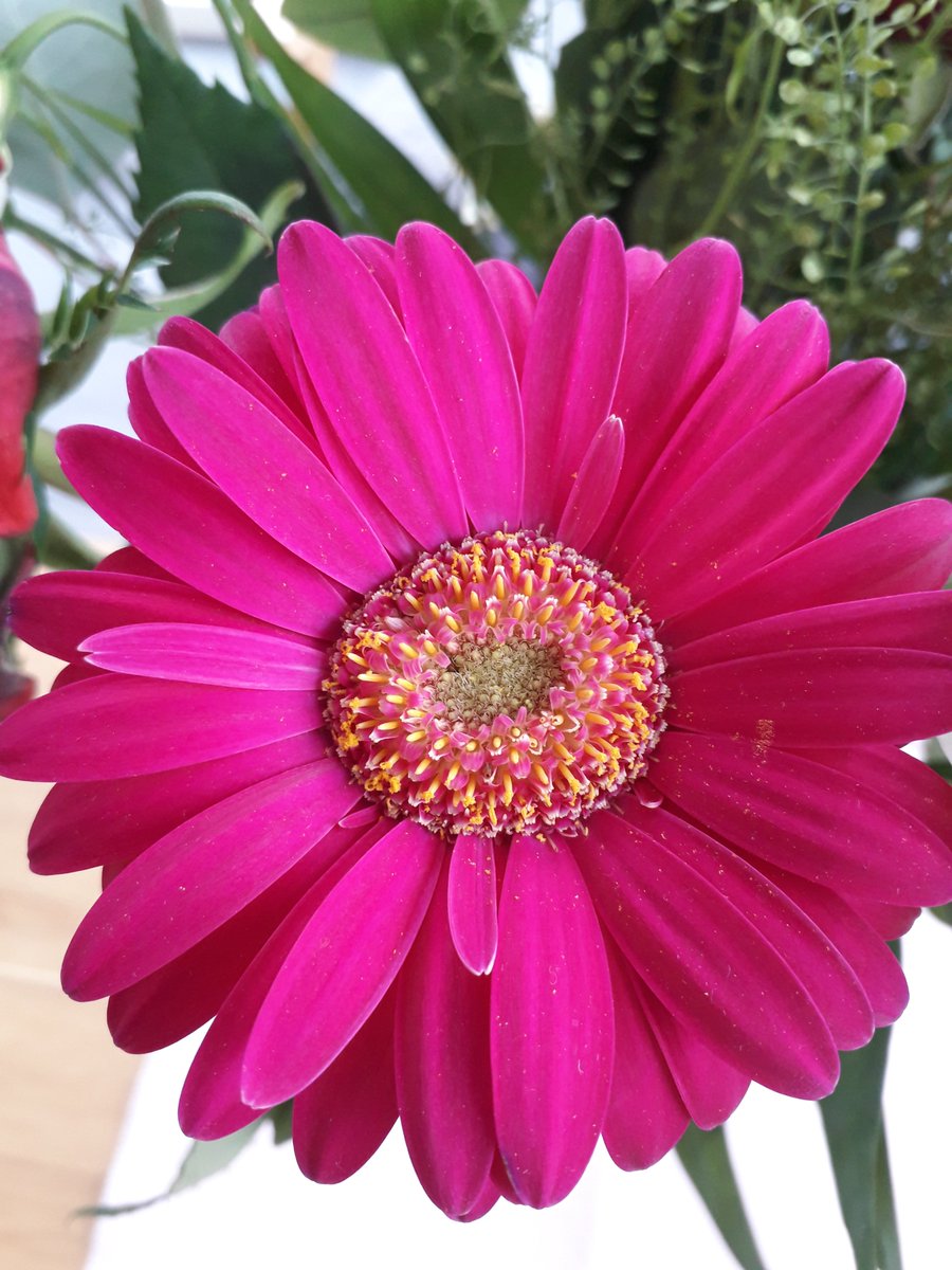 14. Feber Valentinstag!
14% bei Frühbesteller-Rabatt bei Valentins
blumen-lieferdienste.de/aktionen-und-g…
und weitere Aktionen bei
blumen-lieferdienste.de/category/aktio…