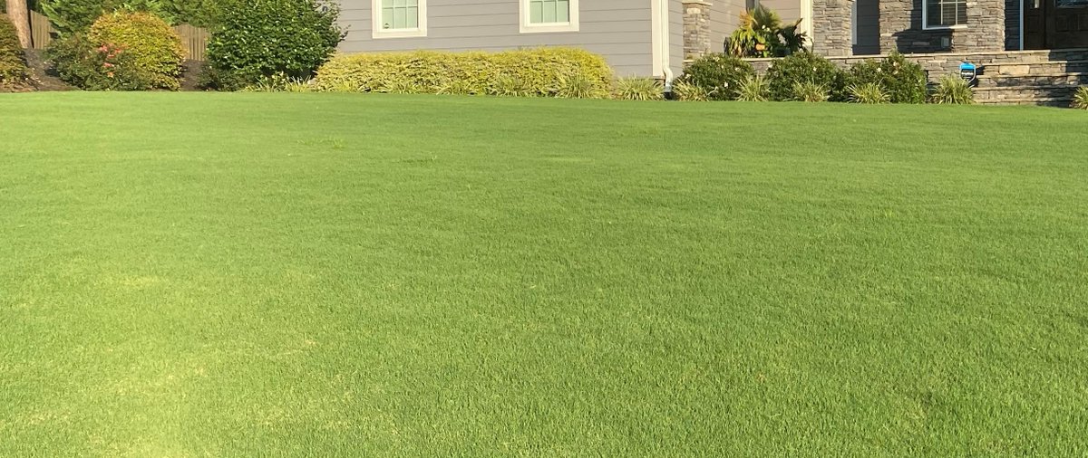 Controlling weeds in warm-season lawns is a year-round challenge.  Learn more about Specticle in this lawn focused #GST Talking Turf: bit.ly/3HmatSw