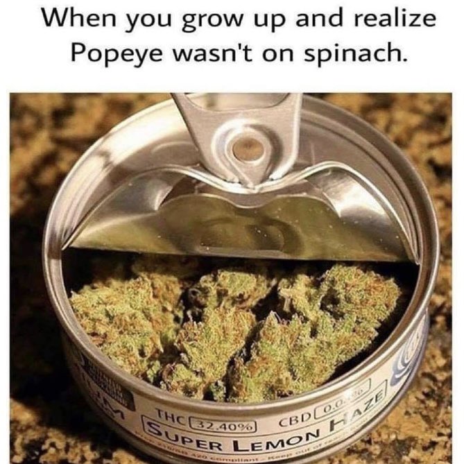GreenGoddessSup's tweet photo. Now it all makes so much more sense! 😂

#stonerhumor #420humor #humor #dankmemes #weedmemes #weedhumor #high_larry_us #maryjane #weedstagram #iwillmarrymary #stoner #gethigh #stonerdaily #stonerproblems #pothead #wakeandbake #fourtwenty #highaf #baked #stoned #wfayo #weedlovers https://t.co/1GX0YCUBBs