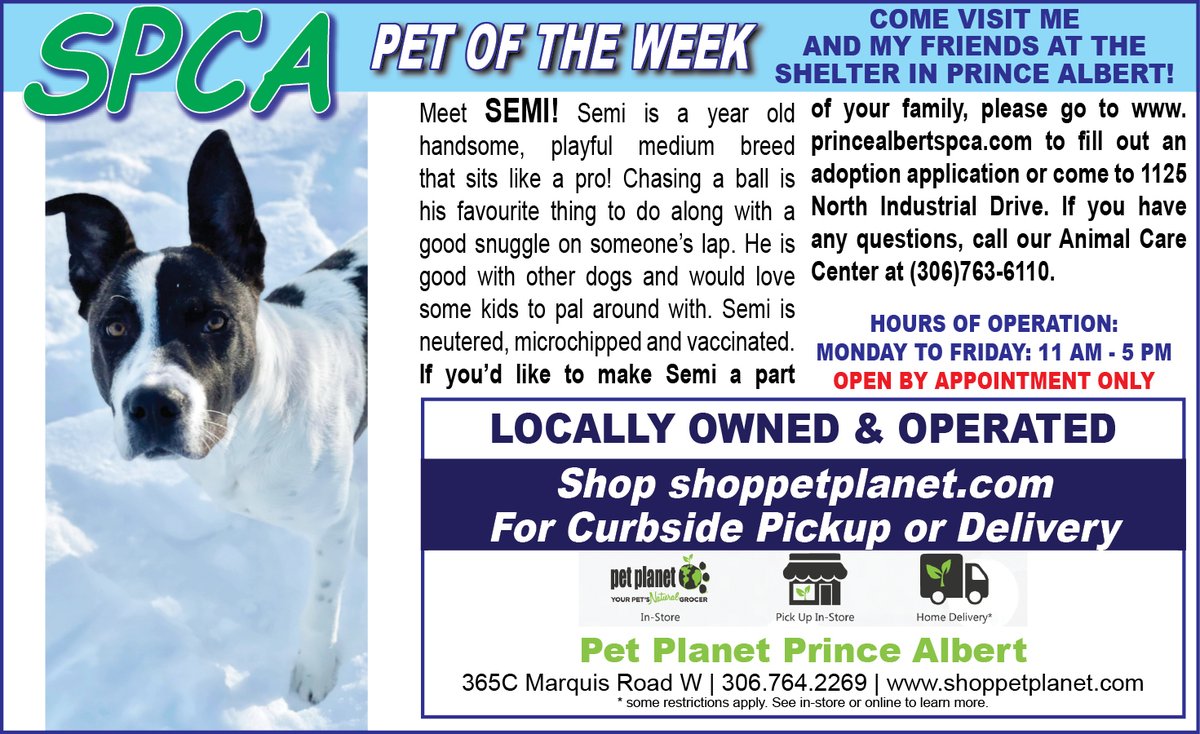 PAShopper's tweet image. SPCA - Pet of the Week
princealbertshopper.com/spca
#SPCA #PetoftheWeek #princealbertshopper