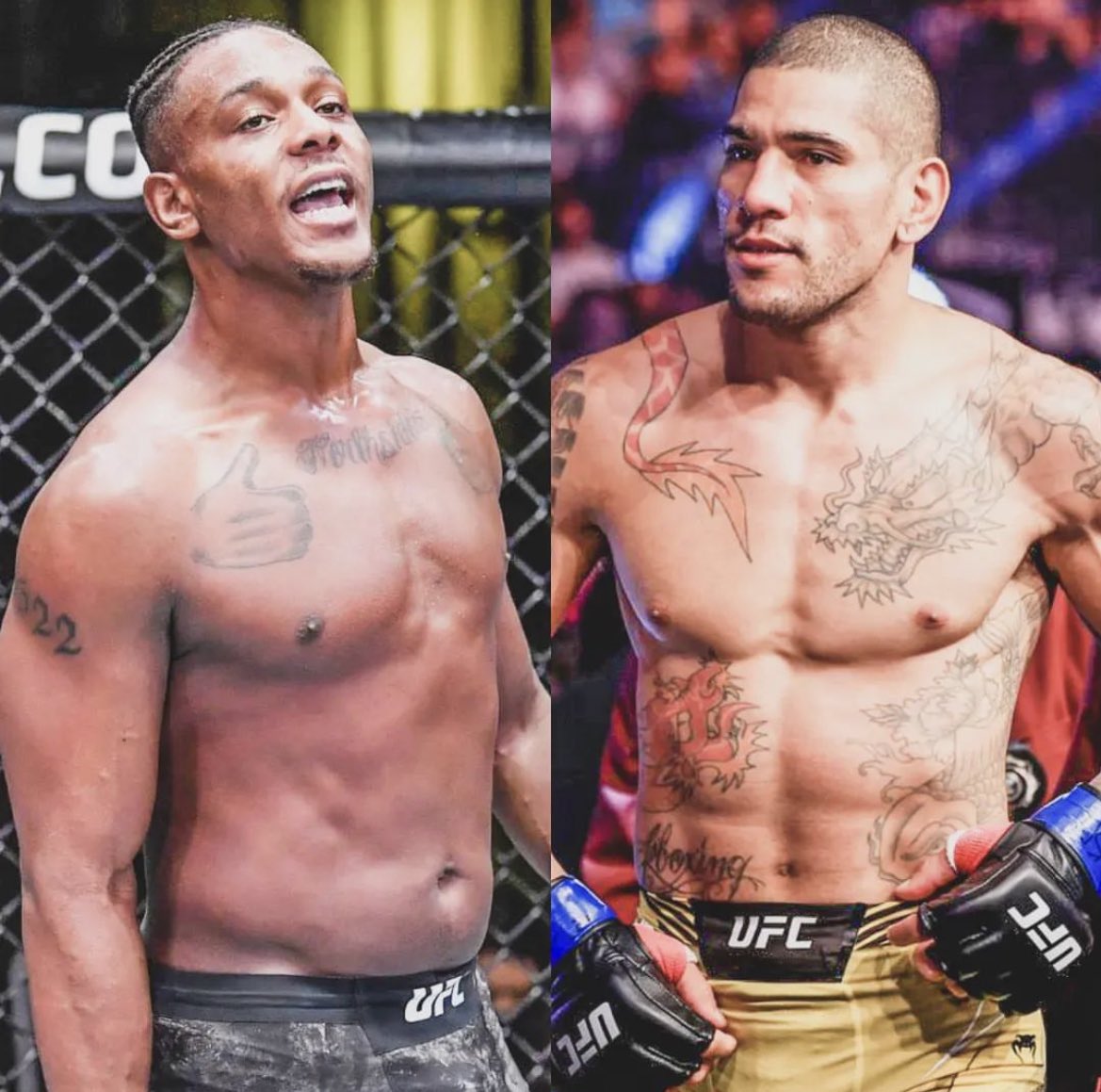 Jamahal Hill: “Escuché que Alex Pereira quiere subir a 205 y vengar a Glover, cuando quieras muchacho. Estuve ahí en #UFC281 y con todo respeto a Izzy, yo si puedo noquear a este tipo”. ¿Les gustaría ver esta pelea?