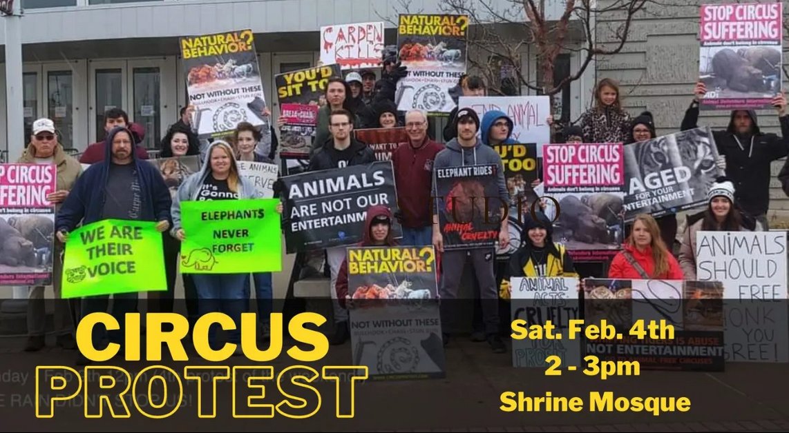 ARC_SpfldMO's tweet photo. Stand united with all the passionate animal activists of Springfield, MO on Saturday, February 4th from 2pm - 3pm - https://t.co/KbHM4cUNcY https://t.co/lsoDfXryCL